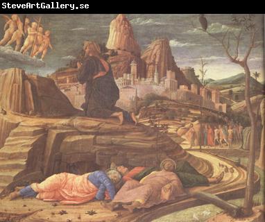 Andrea Mantegna The Agony in the Garden (nn03)